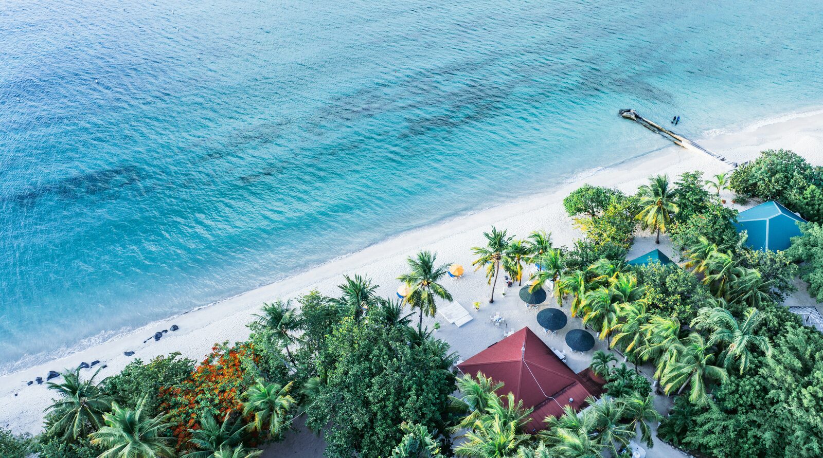 Aerial view of a palm-lined white sand beach on Grenada's coast
