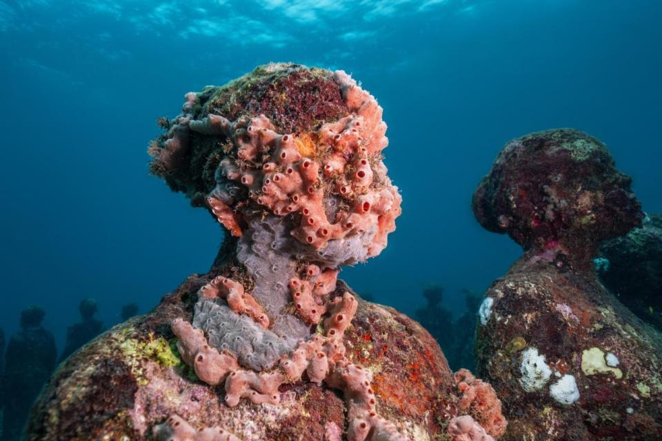 Jason deCaires Taylor's Growth sculpture at Molinere Bay, coral and sponges over a head