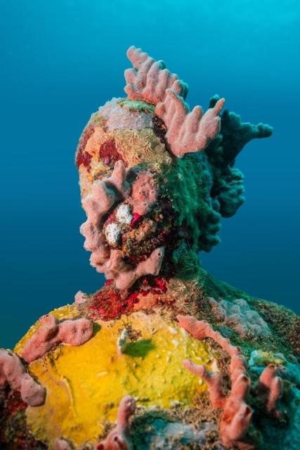 A sculpted head covered in yellow and pink sponges, Molinere Underwater Sculpture Park, Grenada