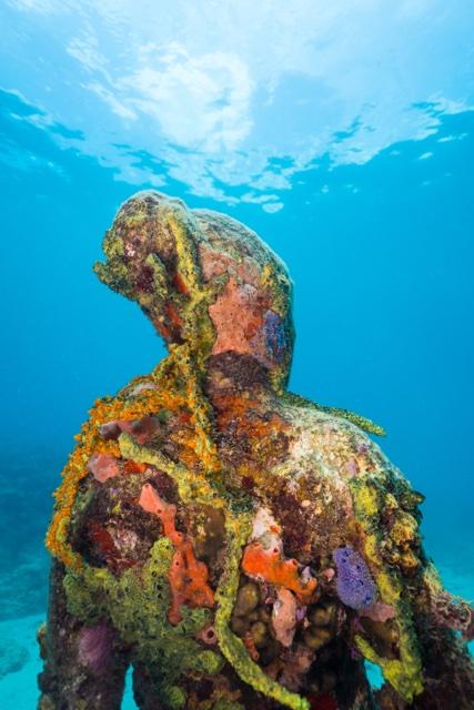 A Vicissitudes figure covered in coral and sponges, looking up to the light
